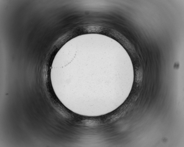 X0000103440733200810241121