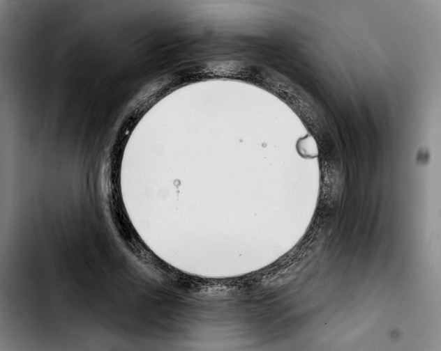 X0000103440734200810241121