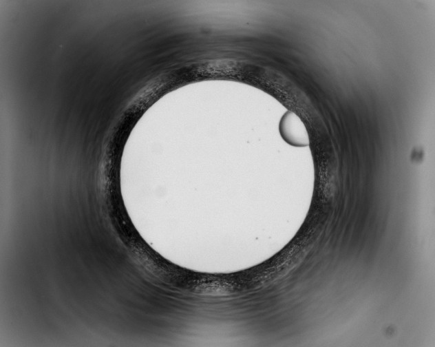 X0000103440735200810241121