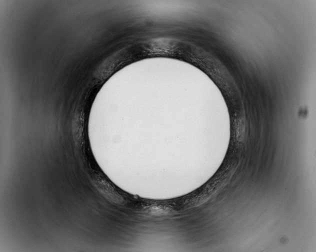 X0000103440737200810241121