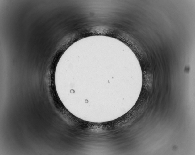 X0000103440738200810241121