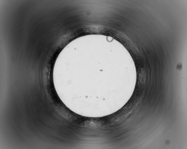 X0000103440739200810241121