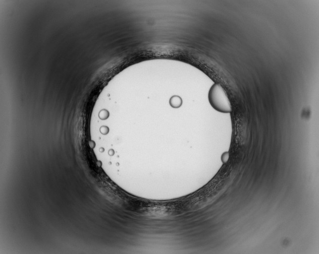X0000103440740200810241121