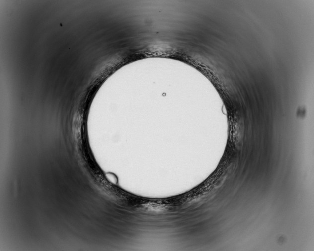 X0000103440742200810241121