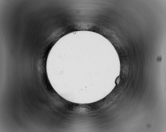 X0000103440743200810241121