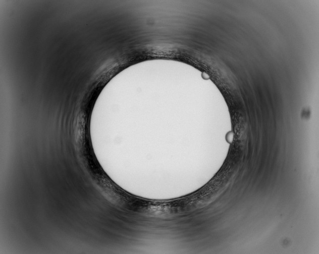 X0000103440744200810241121