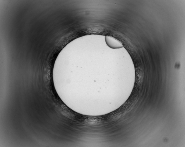 X0000103440745200810241121