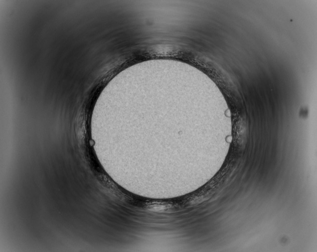 X0000103440746200810241121