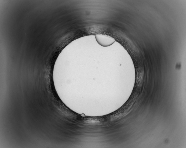 X0000103440749200810241121