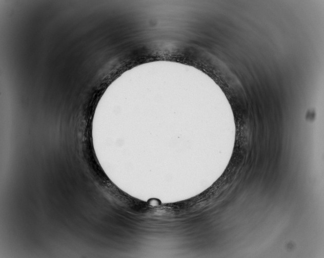 X0000103440750200810241121