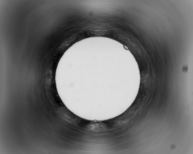 X0000103440752200810241121