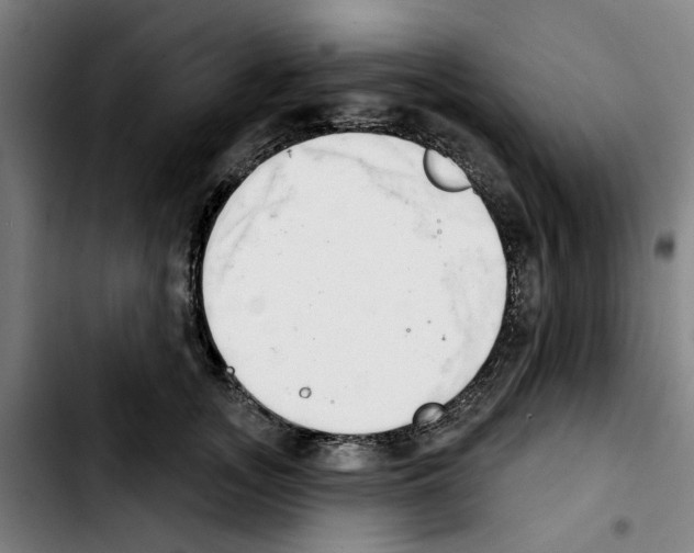 X0000103440755200810241121