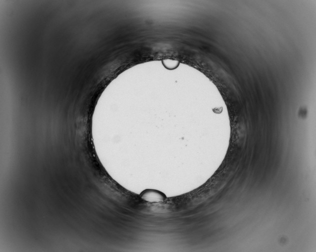 X0000103440756200810241121