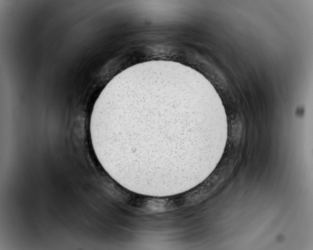 X0000103440757200810241121