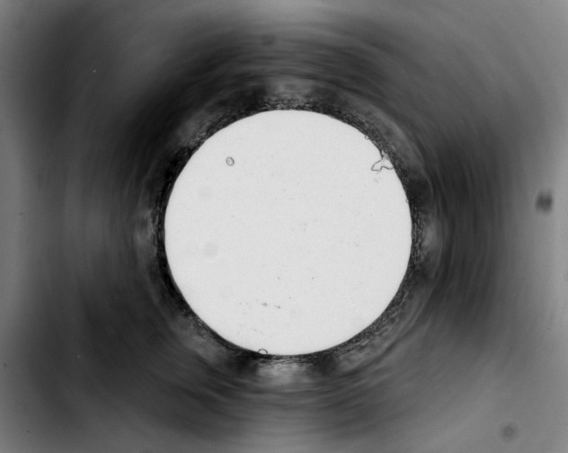 X0000103440759200810241121