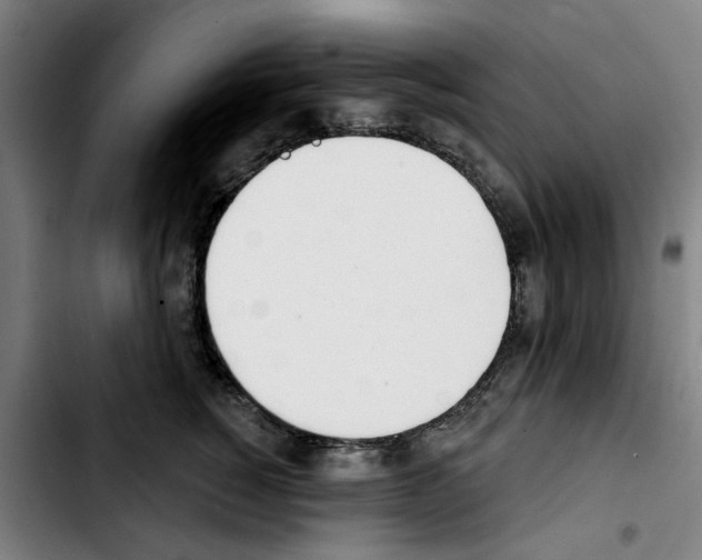 X0000103440760200810241121