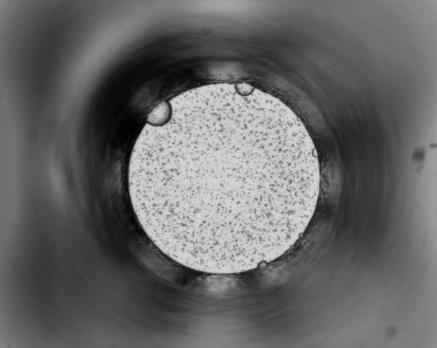 X0000103440762200810241121