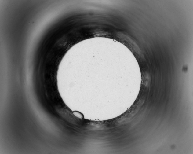 X0000103440763200810241121