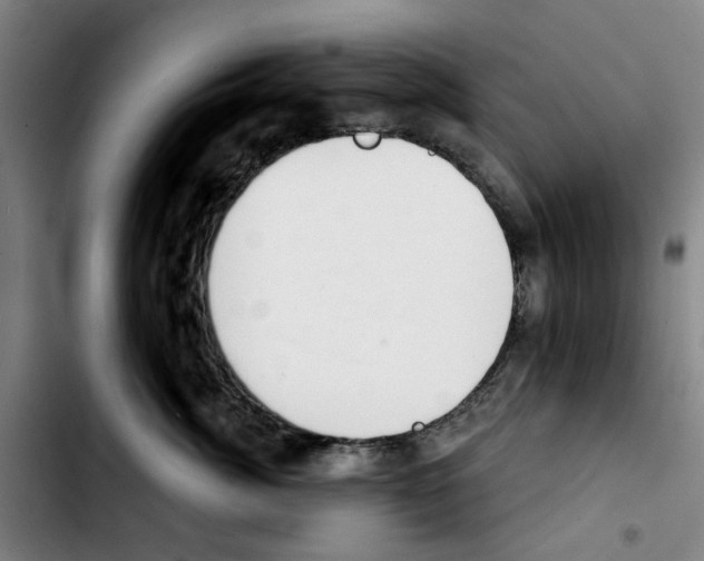 X0000103440764200810241121