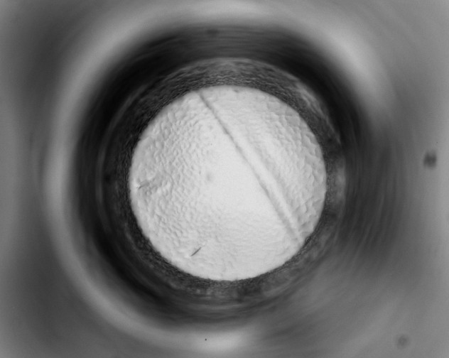X0000103440765200810241121