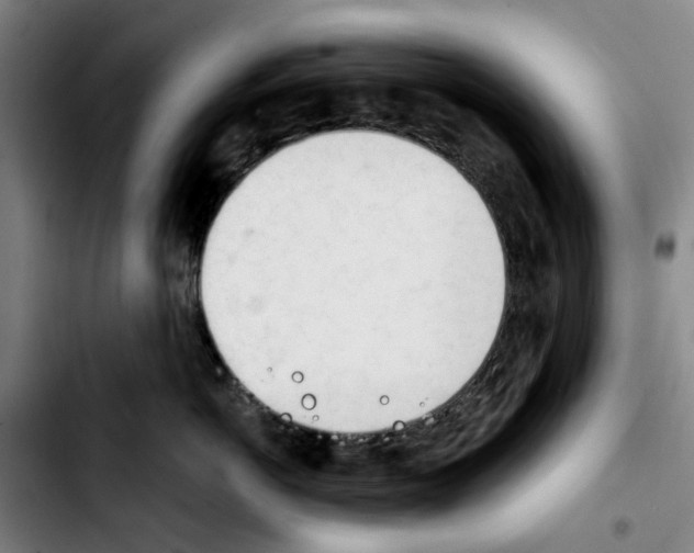 X0000103440766200810241121