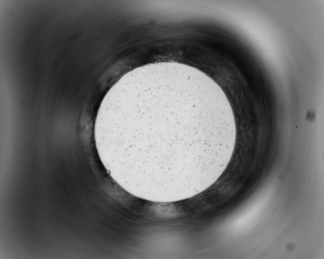 X0000103440767200810241121