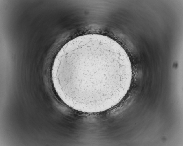 X0000103440769200810241121