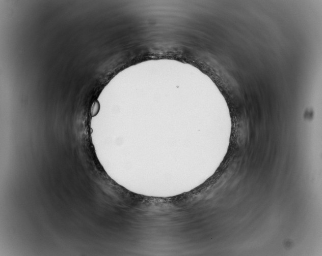 X0000103440770200810241121