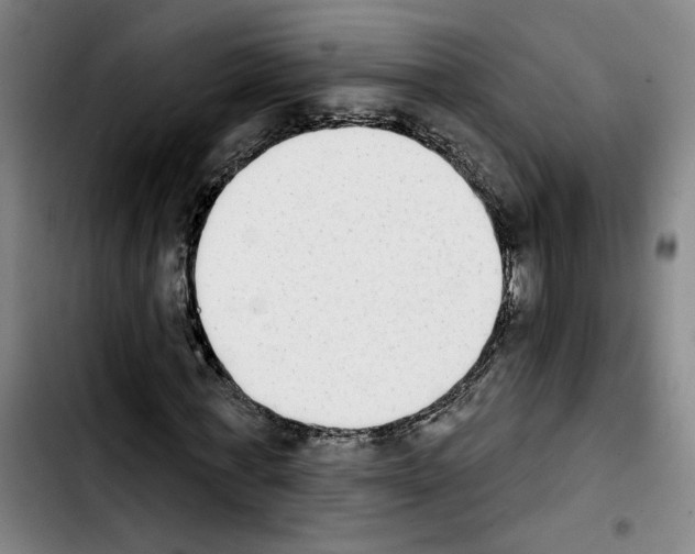 X0000103440771200810241121