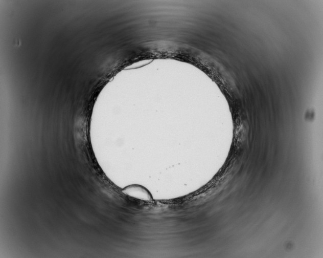 X0000103440772200810241120