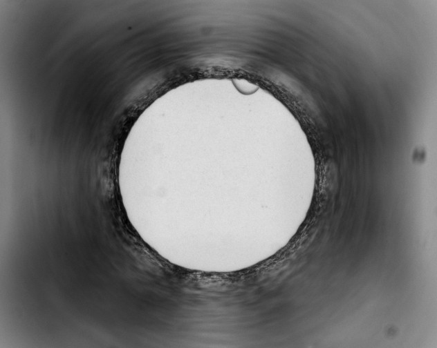 X0000103440774200810241120