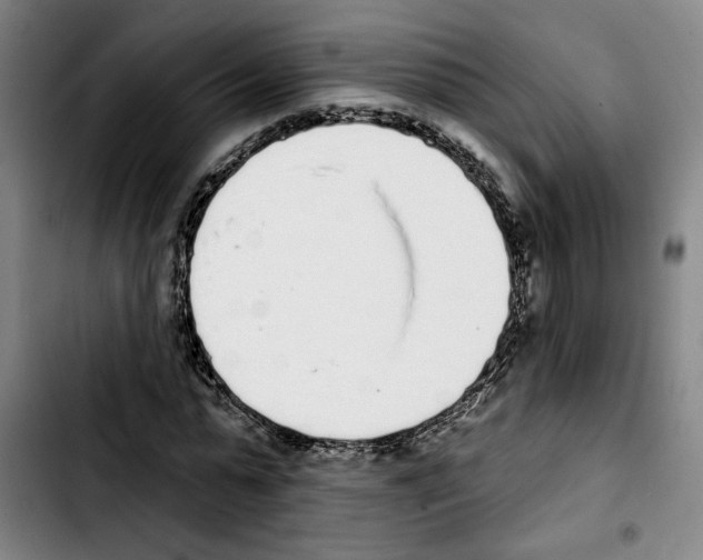 X0000103440775200810241120