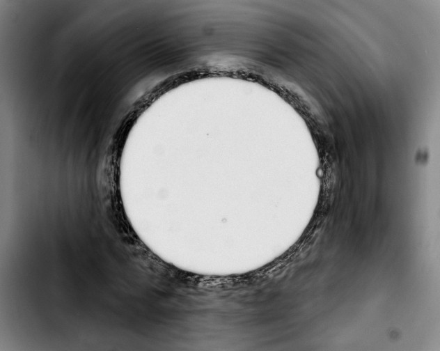 X0000103440776200810241120