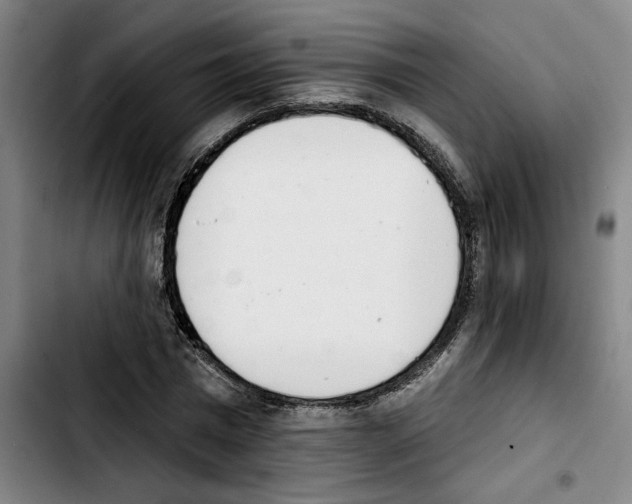 X0000103440777200810241120