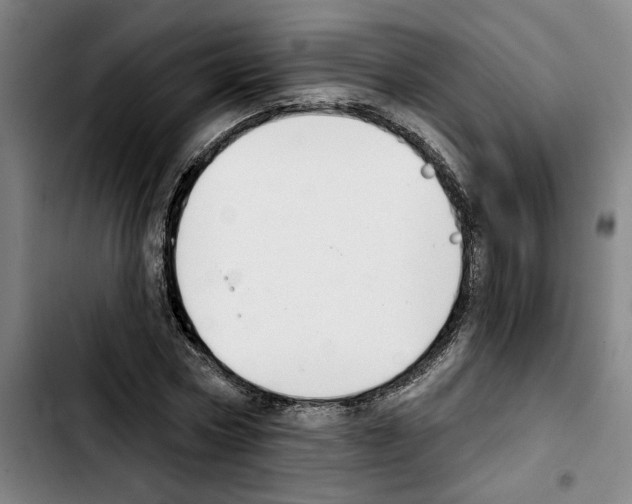 X0000103440778200810241120