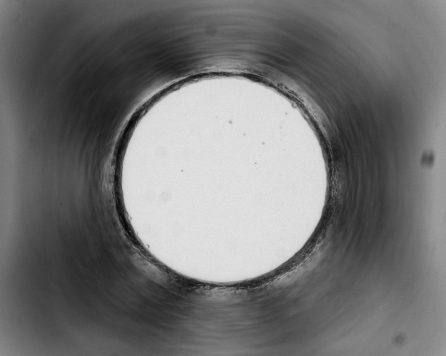 X0000103440779200810241120