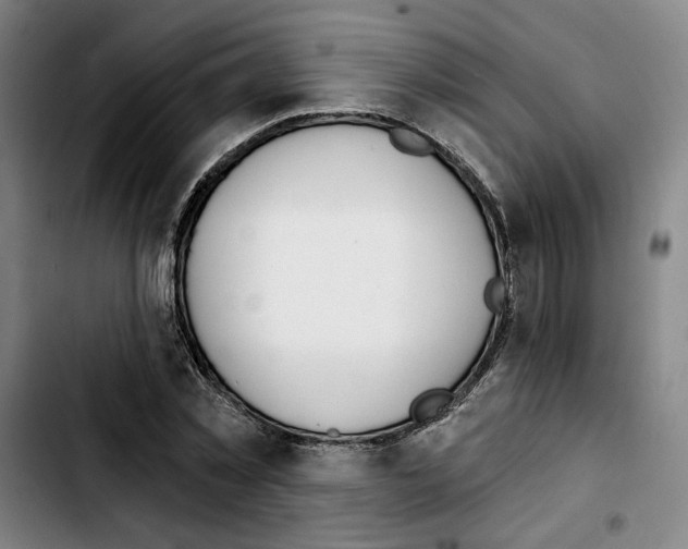 X0000103440781200810241120