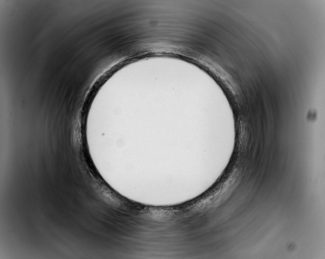 X0000103440782200810241120