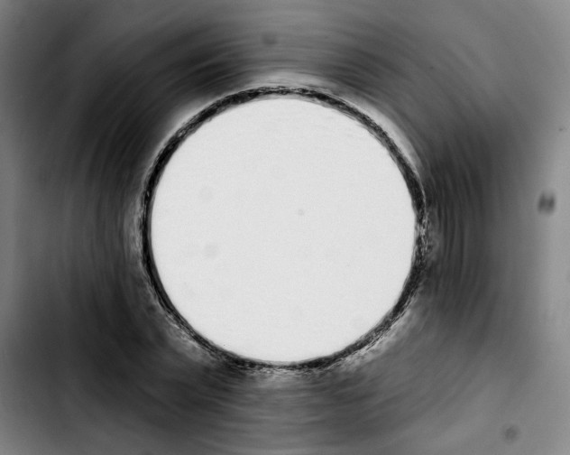 X0000103440783200810241120