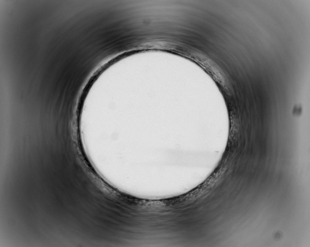 X0000103440784200810241120