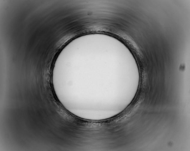 X0000103440785200810241120