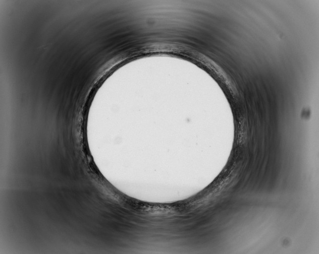 X0000103440786200810241120