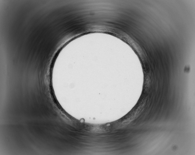 X0000103440787200810241120