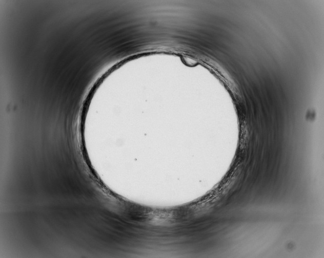 X0000103440788200810241120