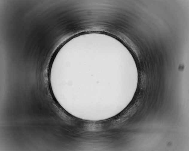 X0000103440789200810241120