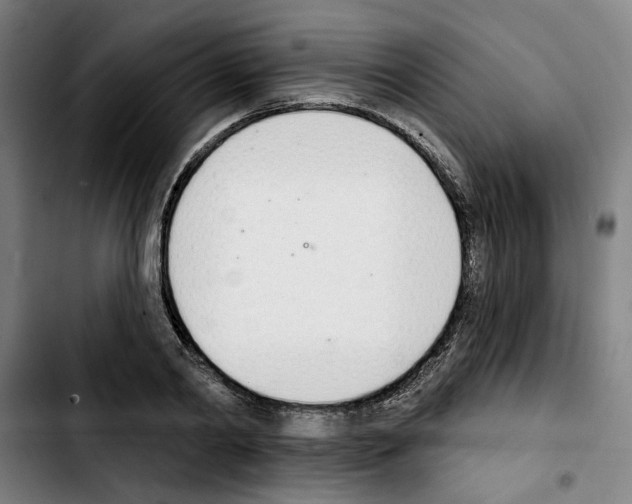 X0000103440790200810241120