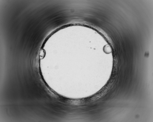 X0000103440791200810241120