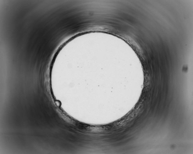 X0000103440792200810241120