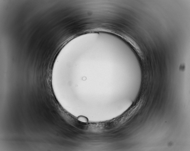 X0000103440793200810241120