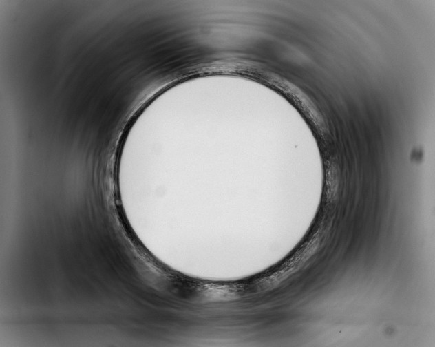 X0000103440794200810241120